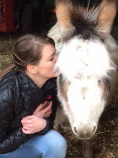 Volunteer loving on rescued donkey