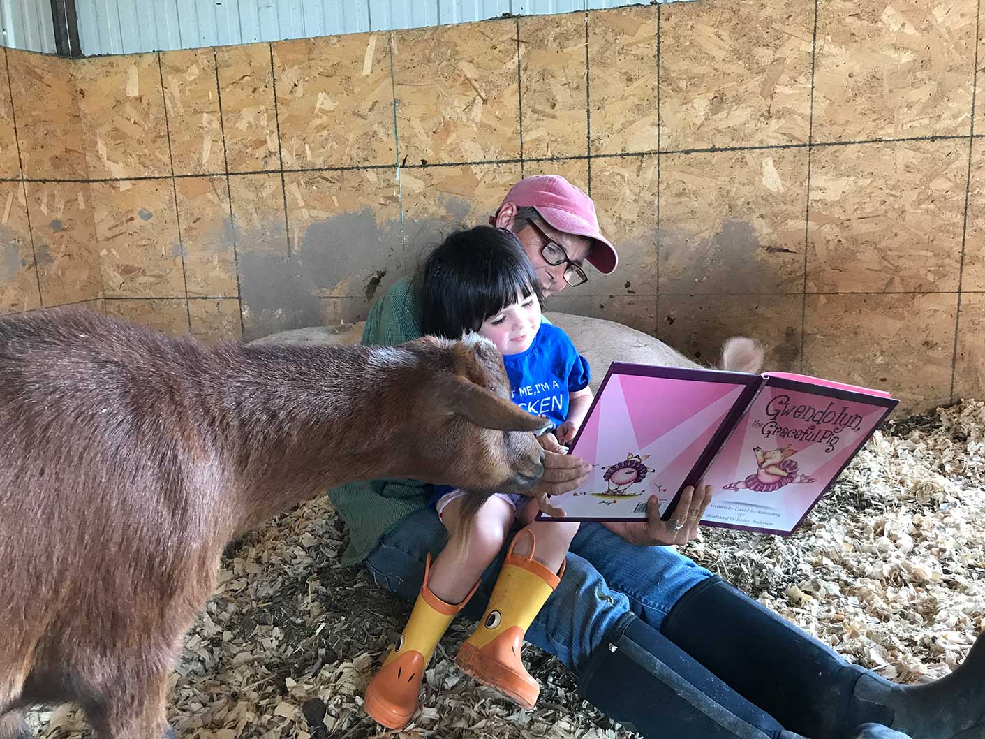 Jinna and Scout reading to goats